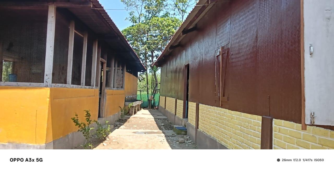 Don Bosco Boys' Home — Campus — photograph 13